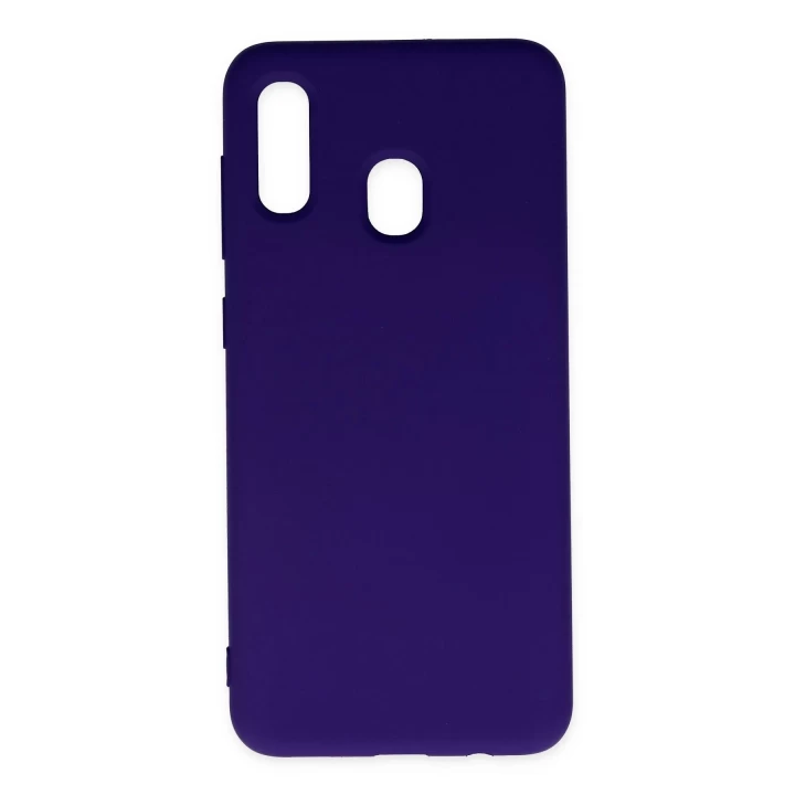 Samsung Galaxy A20 Kılıf Nano içi Kadife Silikon - Mor