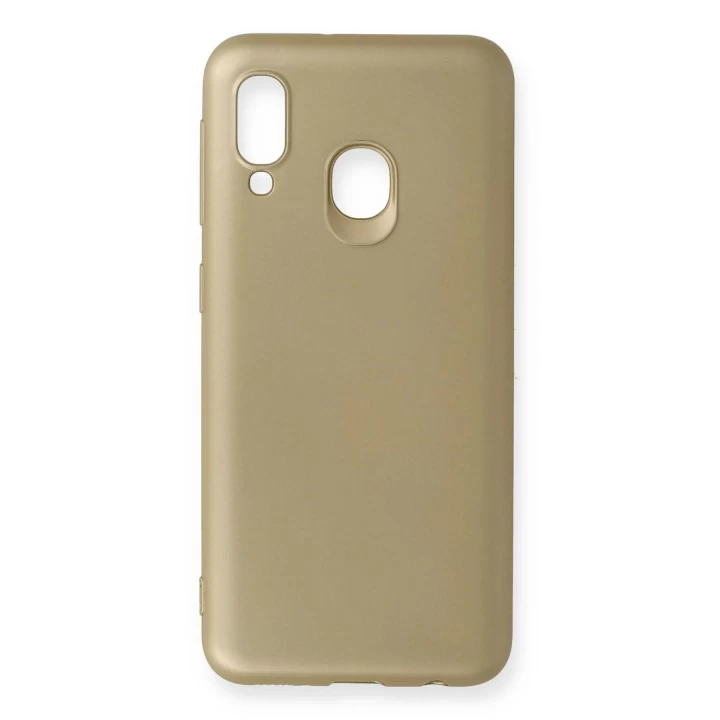 Samsung Galaxy A20E Kılıf First Silikon - Gold