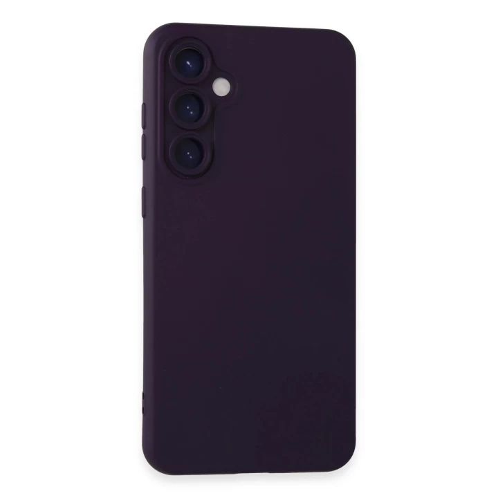 Samsung Galaxy S24 Kılıf Nano içi Kadife Silikon - Mor