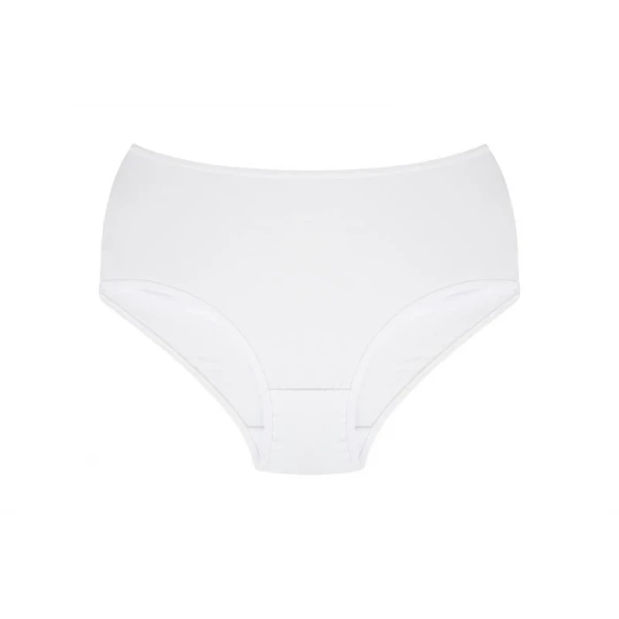 Giyim Kadın Büyük Beden Külot Beyaz 40264