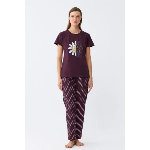 Giyim Kadın Mürdüm Papatya Baskılı Kısa Kollu Penye Pijama Takımı