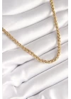 316L Çelik Gold Renk Burgu Zincir Model Kadın Kolye - TJ-BKO8446