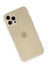 iPhone 12 Pro Max Kılıf Puma Silikon - Gold