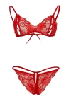 Kırmızı Dantelli Fantazi Sütyen Ve G-string Takım Brf2048