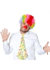 Rengarenk Kıvırcık Afro Bonus Peruk 110 Gr ve Kırmızı Burun Seti