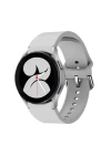 Samsung Galaxy Watch 4 Klasik Kordon - Açık Gri