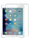 Samsung Galaxy X200 Tab A8 10.5 Tablet Cam Ekran Koruyucu
