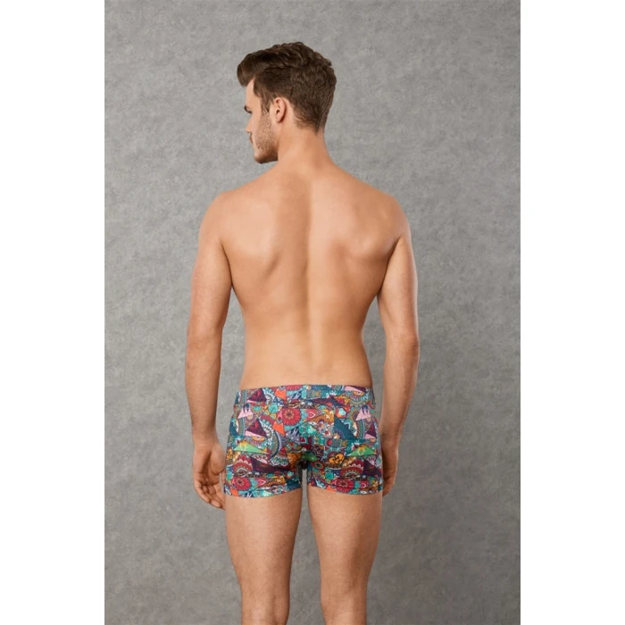 Doreanse Patchwork, Desenli Erkek  Boxer 1807