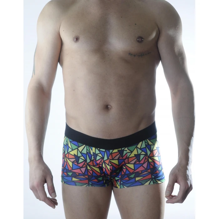 Erkek Renkli Desenli Boxer