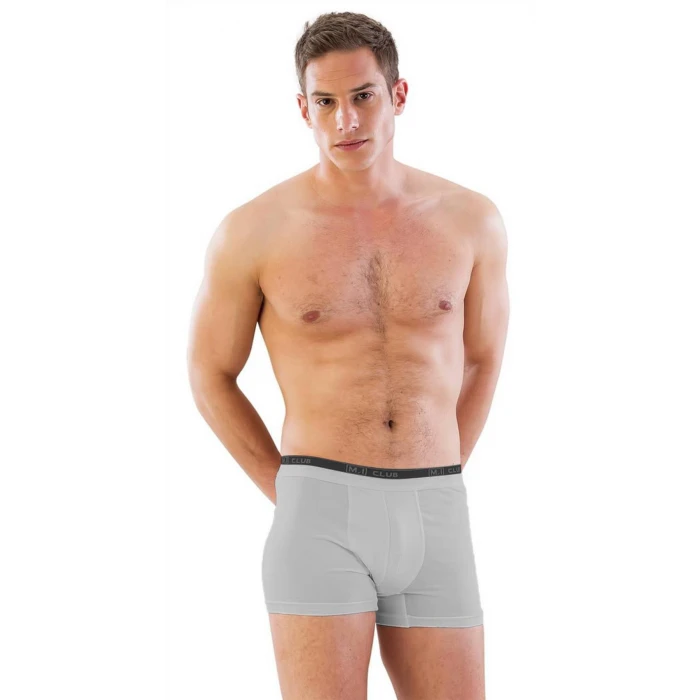 Gri Mı Emay 6950 Erkek Boxer