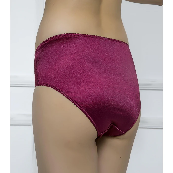 Kadın 3114 Dantel Detaylı Slip Külot