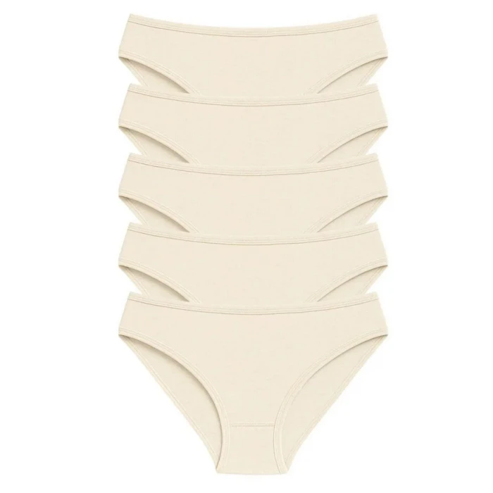 Pamuklu Basic Kadın Bikini Külot 5li Paket