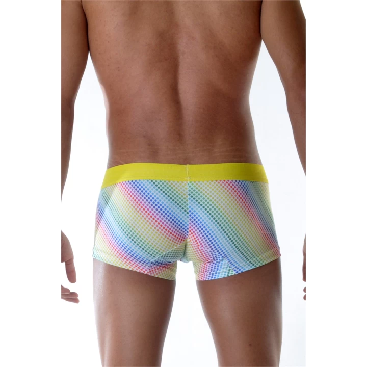 Renkli Boxer