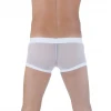 Br291125 Transparan Boxer