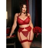 Kadın Büyük Beden Kırmızı Dantelli Jartiyerli Fantezi İç Giyim Takımı 8005