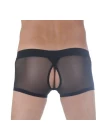 Br291121 Transparan Arkası Açık Mini Boxer