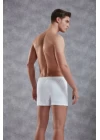 Doreanse  Erkek  Boxer 1511