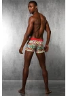 Doreanse Lolipop Erkek  Boxer 1885