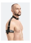 Erkek  Modeli