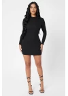 Kadın Siyah Kaşkorse Balıkçı Yaka Uzun Kollu Bodycon Mini Elbise