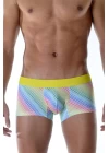 Renkli Boxer