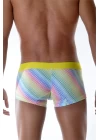 Renkli Boxer