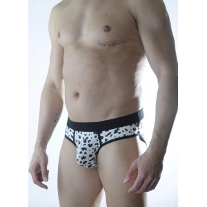 Erkek Desenli Slip Dm301119