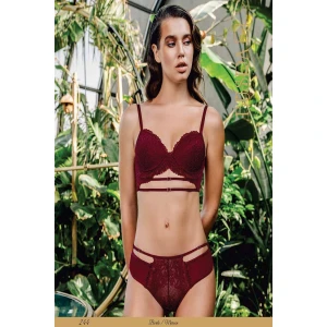 Sütyen Takım Kadın 244