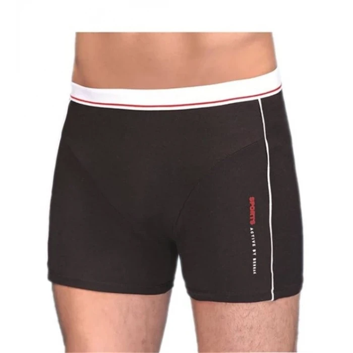 Berrak Erkek  Modal Silva Boxer 1078