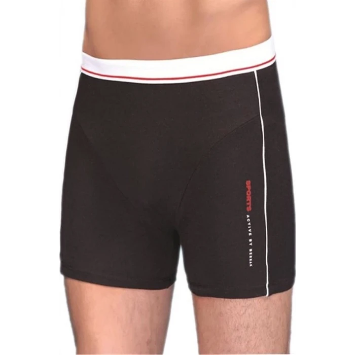 Berrak Erkek  Modal Silva Boxer 1078