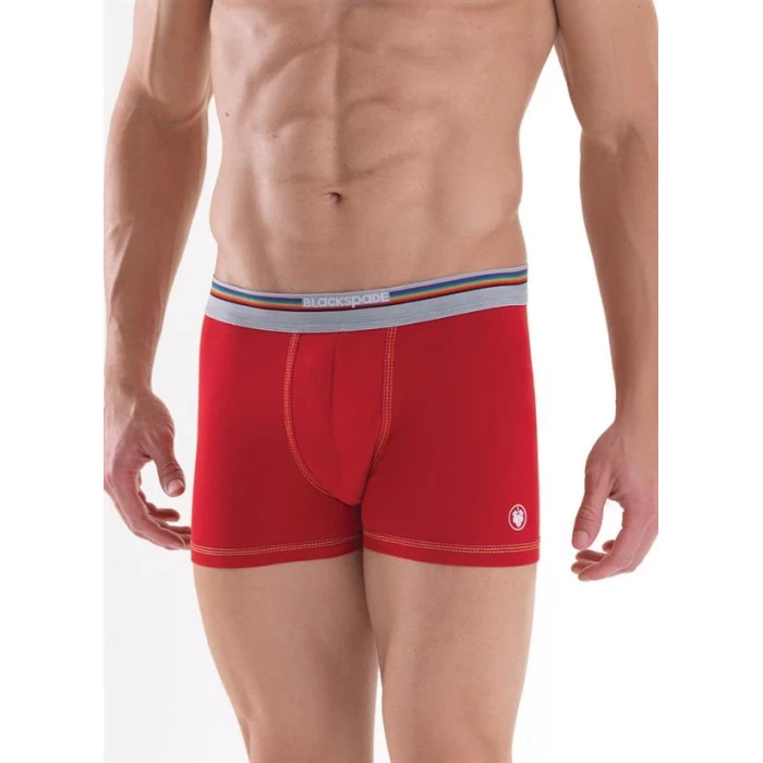 Blackpade Erkek  Colour Boxer 9550