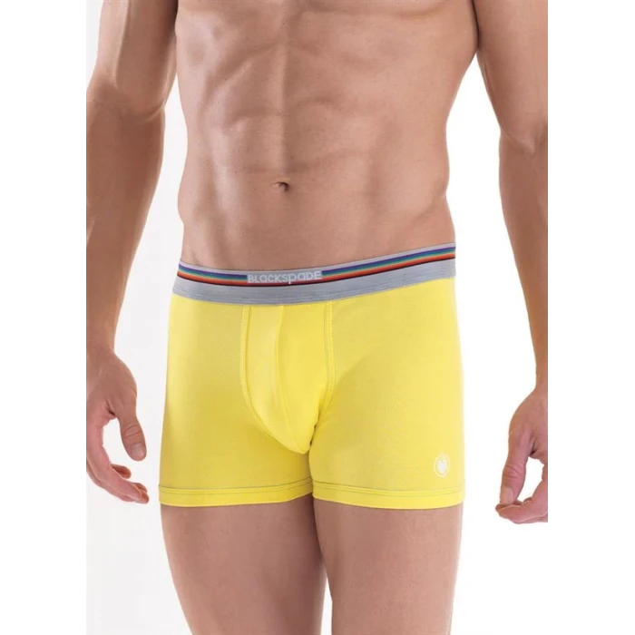 Blackpade Erkek  Colour Boxer 9550