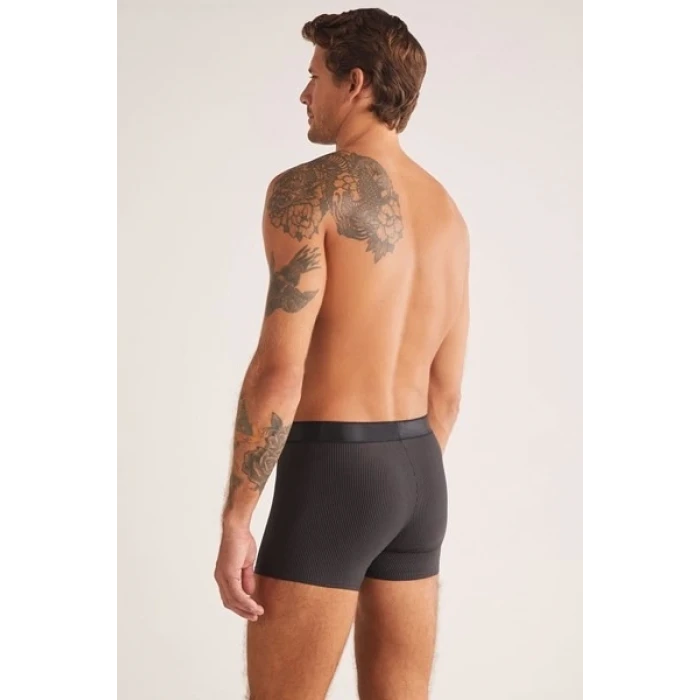 Kom Luca Erkek  Boxer