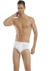 Erdem Erkek  Ribana Slip 1320