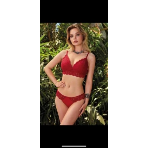 4305 Desteksi Sütyen Takımı