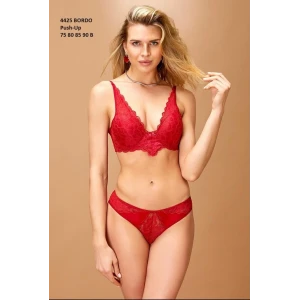 4425  Destekli Sütyen Takım