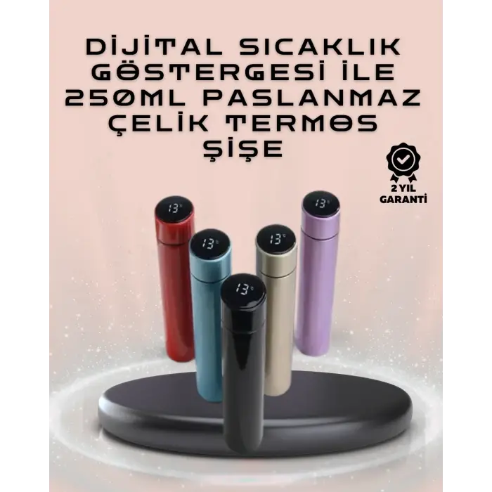 250ml LED Ekranlı Paslanmaz Çelik Akıllı Termos