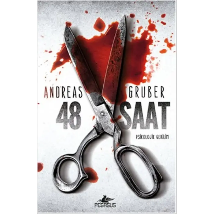 48 Saat