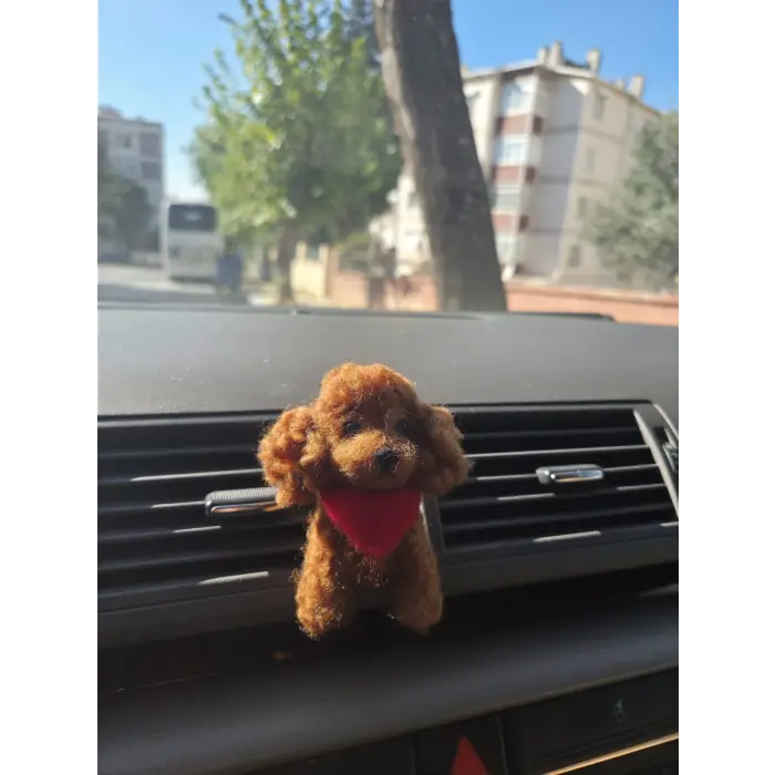 Araç Süsü,Torpido Aksesuarı- Kaniş