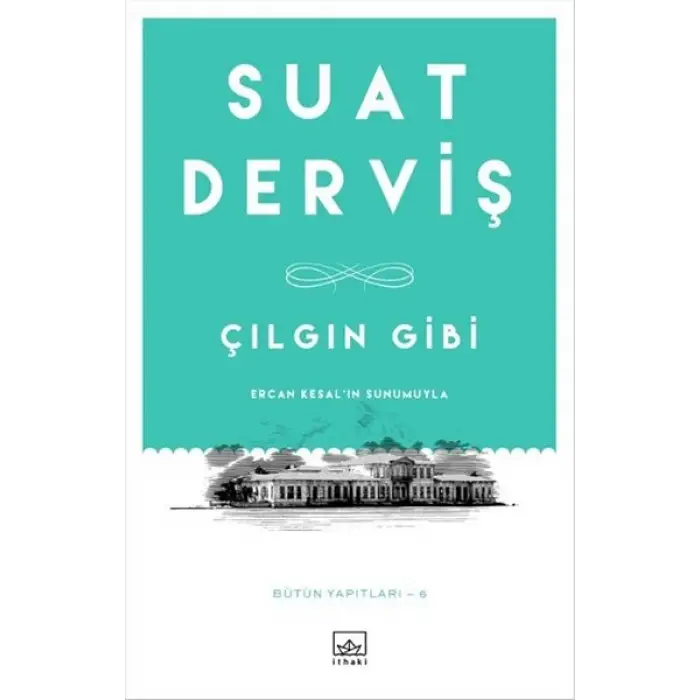 Çılgın Gibi