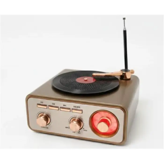 Everton RT-1217bt Bluetooth Usb-Micro Plak Radyo