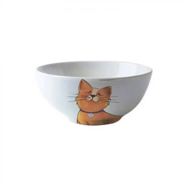Galya Seramik Kedi Mama ve Su Kabı 550 Ml