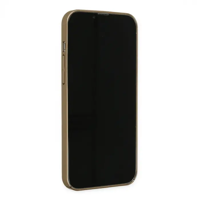 iPhone 13 Pro Kılıf Jack Magneticsafe Lens Silikon - Gold