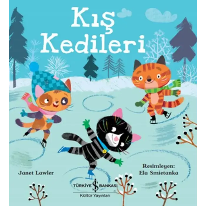 Kış Kedileri
