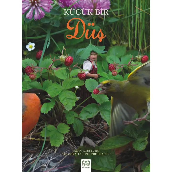 Küçük Bir Düş