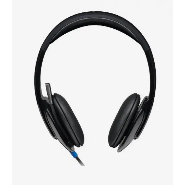 LOGITECH H540 USB SİYAH KULAKLIK 981-000480