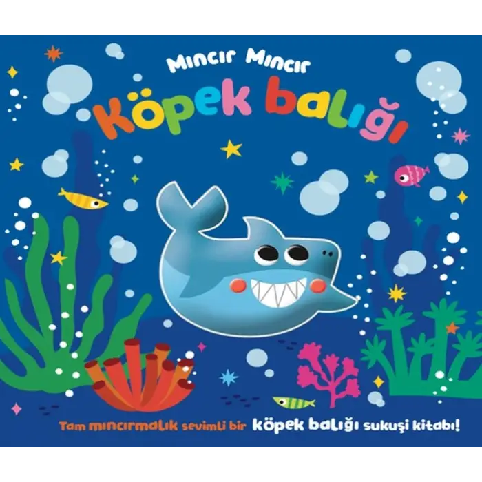Mıncır Mıncır Köpek Balığı
