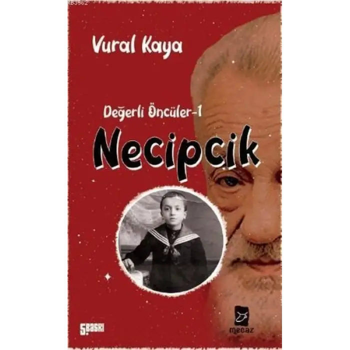 Necipcik