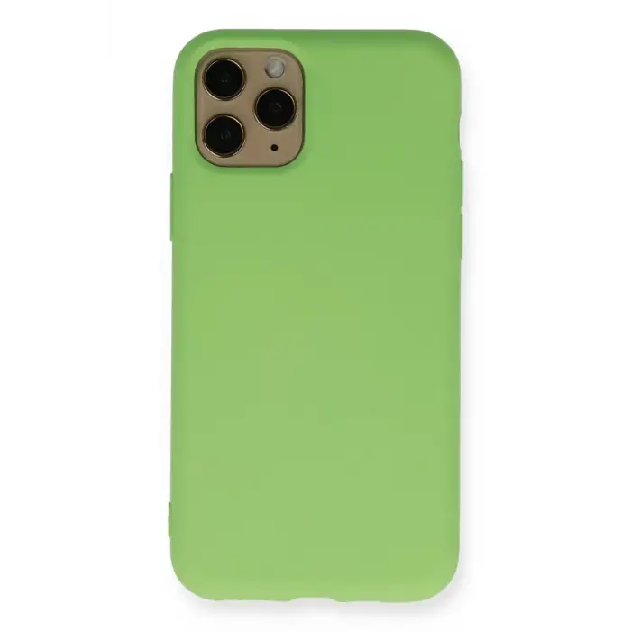 Newface Apple iPhone 11 Pro Kılıf Nano içi Kadife Silikon - Yeşil
