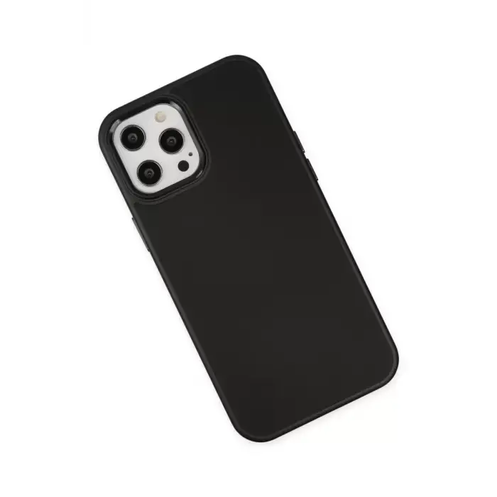 Newface Apple iPhone 12 Pro Max Kılıf Asya Deri Silikon - Siyah
